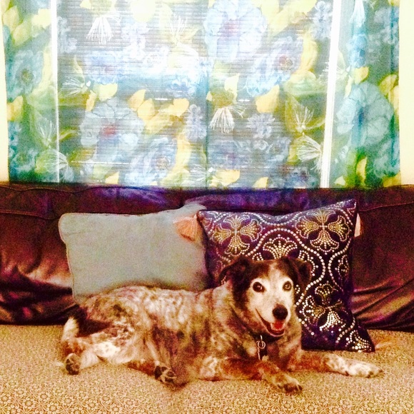 Meet Emilee: Eclectic Posher & Puppy Mom - Picture 8 of 8